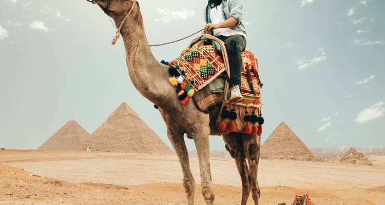 Un viajero monta un camello decorado frente a las Pirámides de Giza bajo un cielo despejado.