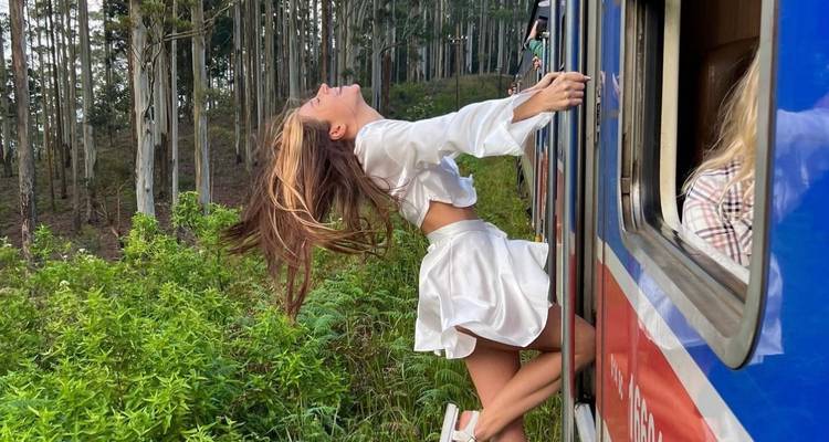 Person, die sich aus einem fahrenden Zug in einem bewaldeten Gebiet lehnt.