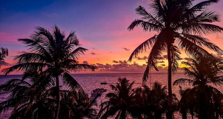 Los árboles de palma recortados enmarcan una vivida puesta de sol caribeña en tonos rosa y púrpura sobre un mar tranquilo.