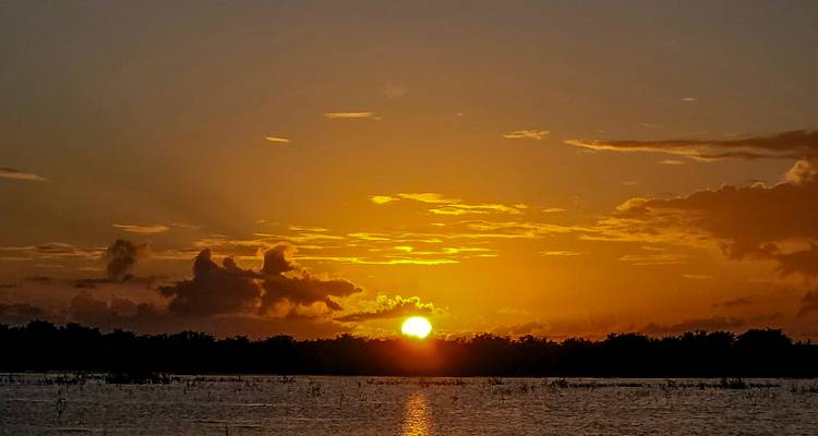 El sol dorado se pone sobre un horizonte de mangles lejano reflejando luz cálida en las aguas tranquilas de la laguna.
