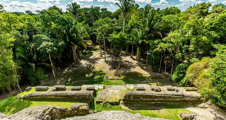 Elevated view over a forest-filled plaza of a Mayan archaeological site with stone terraces and lush palms.
