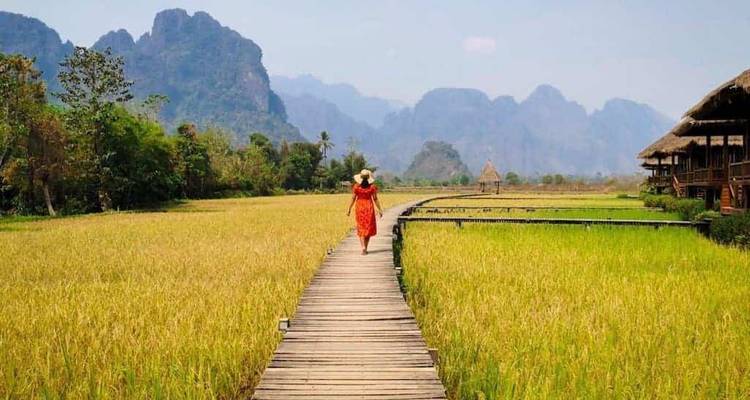 Person, die einen Holzweg durch Reisfelder mit Bergen entlanggeht.