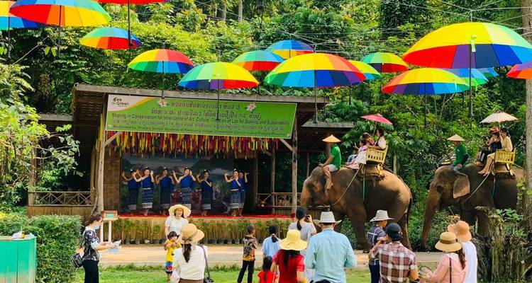 Menschen, die auf Elefanten reiten und einen traditionellen Tanz unter bunten Schirmen aufführen.