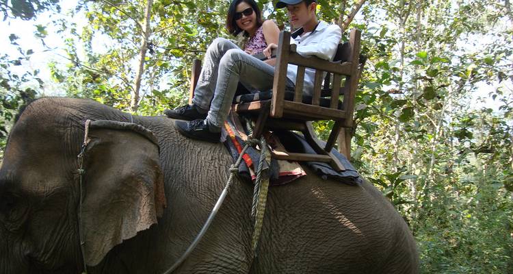 Zwei Personen reiten auf einem Elefanten durch ein bewaldetes Gebiet.