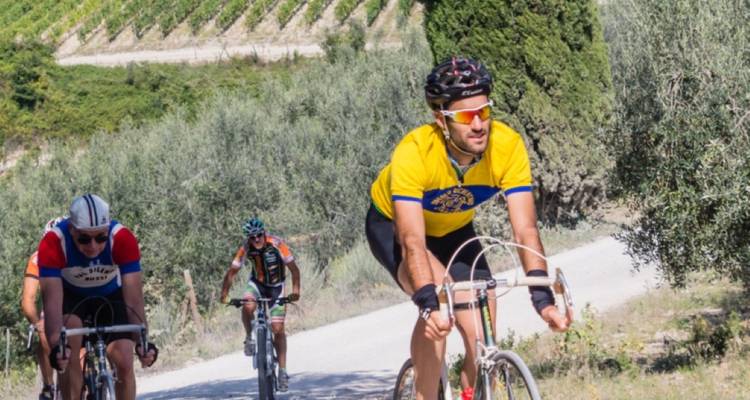 Cyclists on a rural road with vineyard scenery.