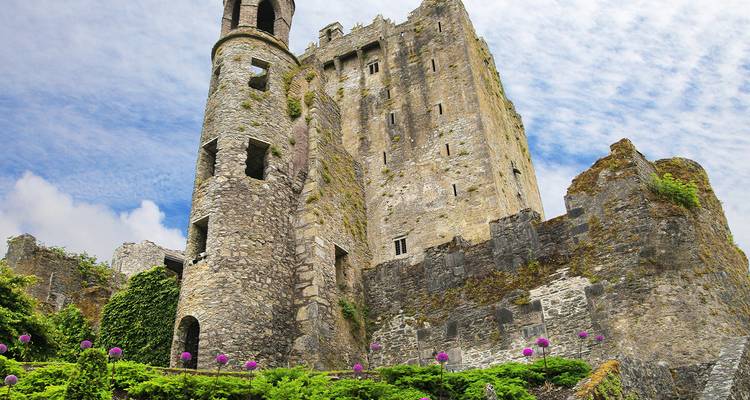 The historic Blarney Castle with lush greenery and flowers.