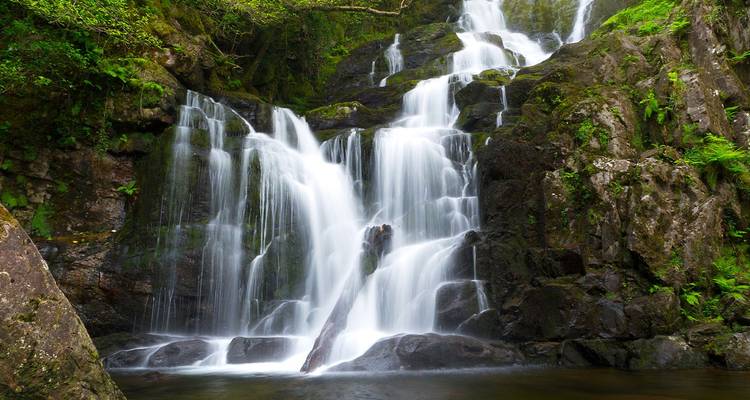 Üppiger, mehrstufiger Wasserfall, der durch den smaragdgrünen Wald im Killarney Nationalpark fließt
