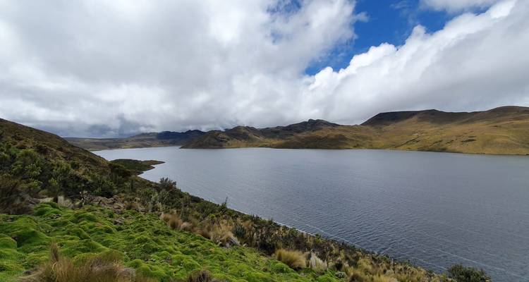 High-altitude lake surrounded by rolling brown hills and patches of green moss under a dramatic sky in the Ecuadorian Andes.