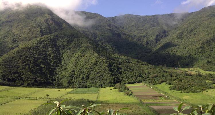 Lush green valley of patchwork fields and forested mountains partially veiled by morning mist.