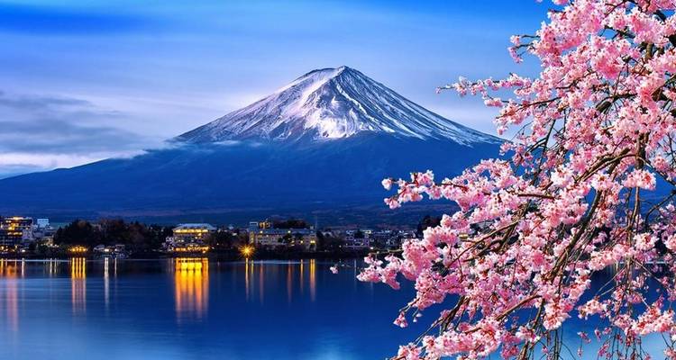 Mount Fuji with cherry blossoms by a lake.