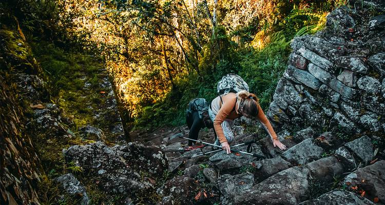 Persoon klimt op steile stenen trappen in een bosgebied.