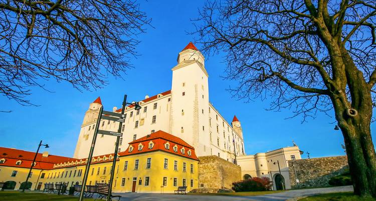 Kasteel van Bratislava met een blauwe lucht en winterbomen.