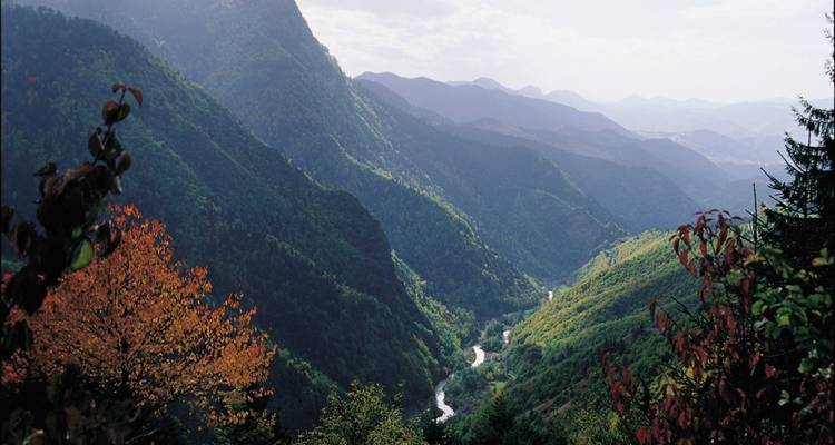 A deep, green valley with a winding river is framed by autumn-tinged trees and distant layered mountains.