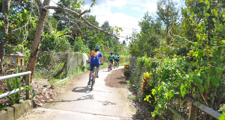Radfahrer fahren durch eine üppig grüne Landschaft auf einem befestigten Weg.