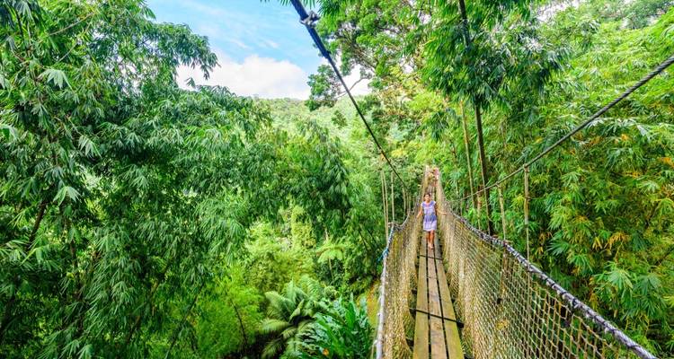 Personne marchant sur un pont suspendu à travers une forêt dense.