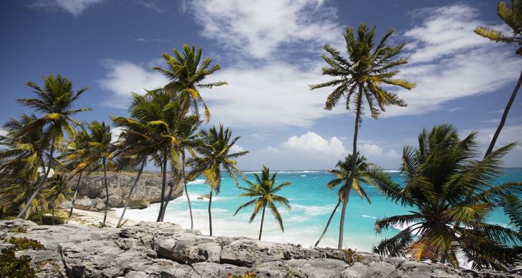 Tropical beach with palm trees and turquoise water.