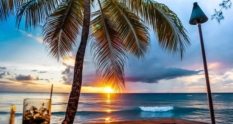 Sunset view from a tropical beach with coconut trees and a serene ocean.