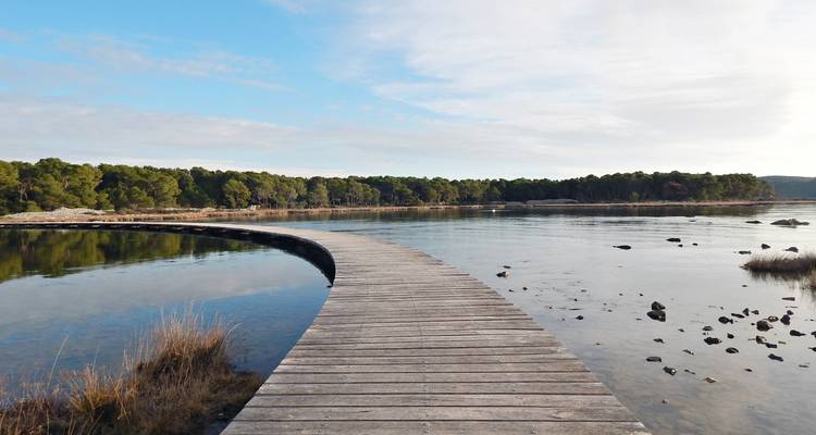 Gewölbter Holzsteg über ruhige Lagune, der in den Kiefernwald des Nationalparks Krka führt