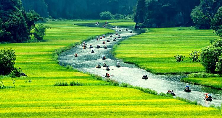 River winding through lush green fields and mountains in Ninh Binh.