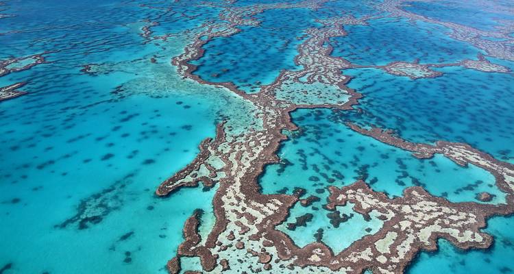 Luftaufnahme des Great Barrier Reefs.