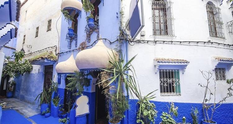 Een kleurrijke straat met blauw geschilderde gebouwen en planten in Chefchaouen.