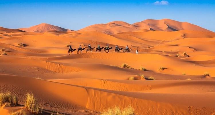 Karavaan van kamelen die uitgestrekte zandduinen oversteekt.