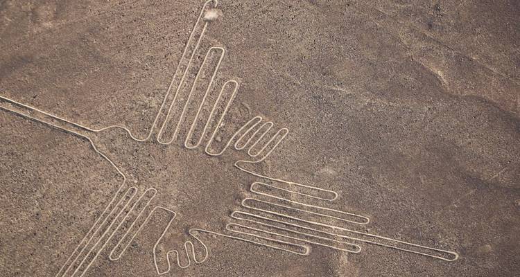 Luftaufnahme eines großen Geoglyphen, der einem Vogel in der Wüste ähnelt.