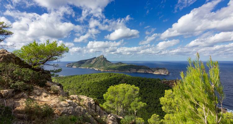 Panoramablick auf eine üppige Küste mit einem Berg und Meer.