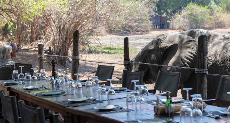Al fresco dining table set beside a river as a wild elephant browses just beyond the fence