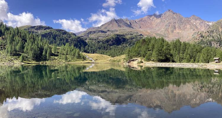Atemberaubender Alpensee mit Bergspiegelungen und Kiefern.