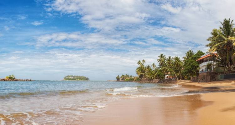 Serene tropical beach with golden sand, gentle waves and palm-lined shore