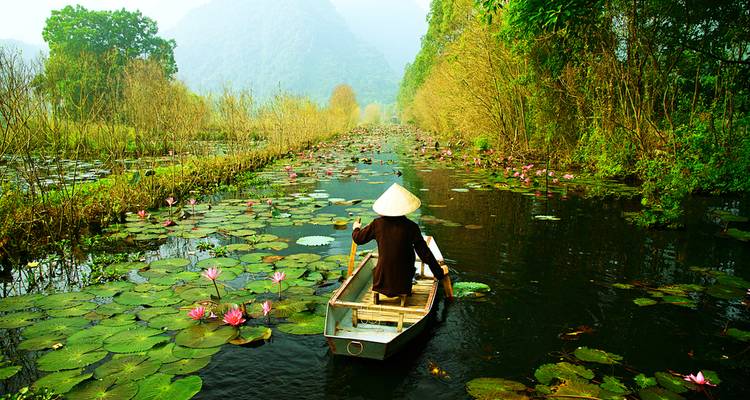 Person paddling a boat in a water body filled with water lilies.