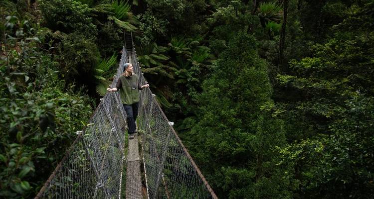 Un homme se tient en équilibre sur un pont suspendu étroit situé très haut au-dessus d'une forêt pluviale tempérée dense en Tasmanie.