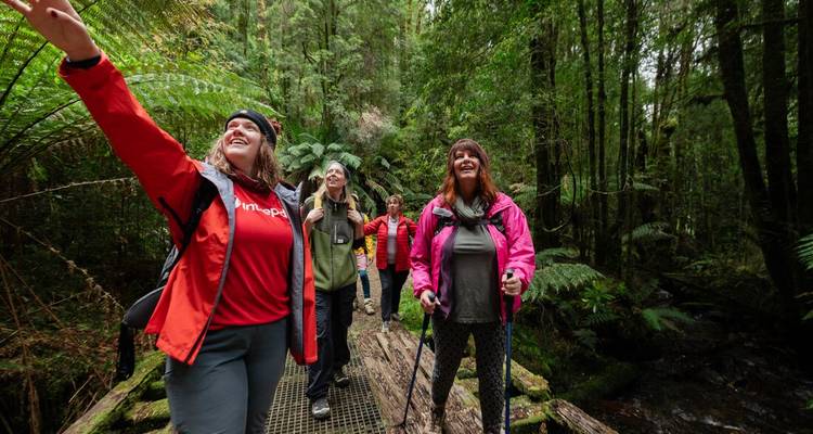 Mujeres exploran una exuberante selva tropical de Tasmania, señalando helechos gigantes a lo largo de un sendero de madera.
