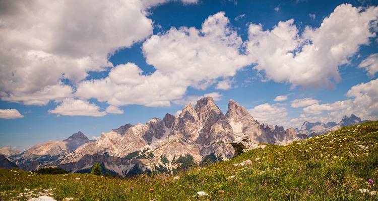 Impresionante cordillera bajo un cielo azul brillante con flores en primer plano.
