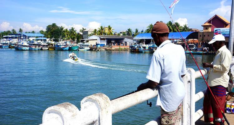 Männer beim Angeln in einem Hafen mit Booten im Hintergrund.