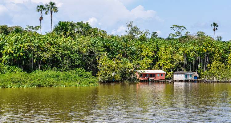 Maisons le long d'une berge luxuriante bordée de forêt.