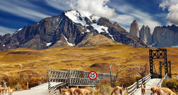 Vue spectaculaire du massif des Torres del Paine avec des guanacos qui paissent près d'un pont rustique sous des nuages striés.