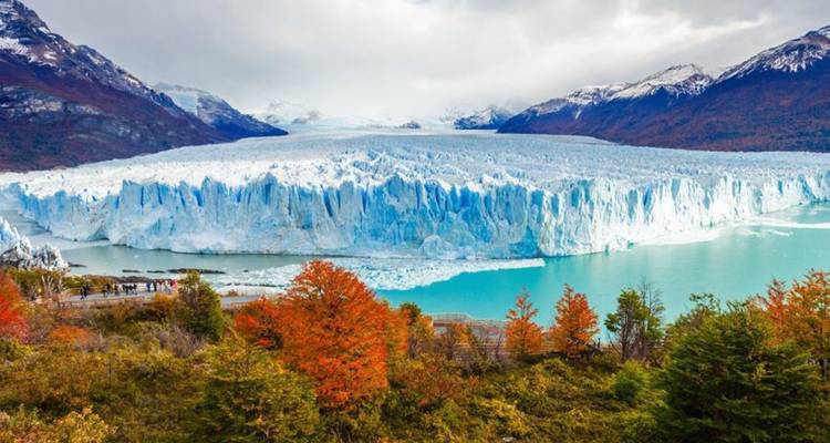 Vaste glacier Perito Moreno rencontrant des eaux turquoise entourées par le feuillage automnal et les montagnes.