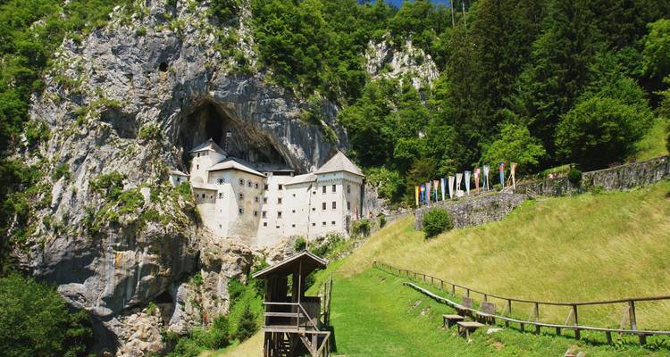 Predjama Castle built into a dramatic cliff face amid lush greenery.