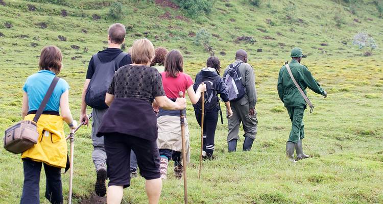 Gruppe von Menschen, die in einem grasbewachsenen Gebiet wandern, geführt von einem Führer.