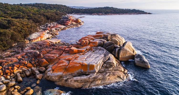 Bay of Fires bekannt für orangefarbene, flechtenbedeckte Felsen am Meer.