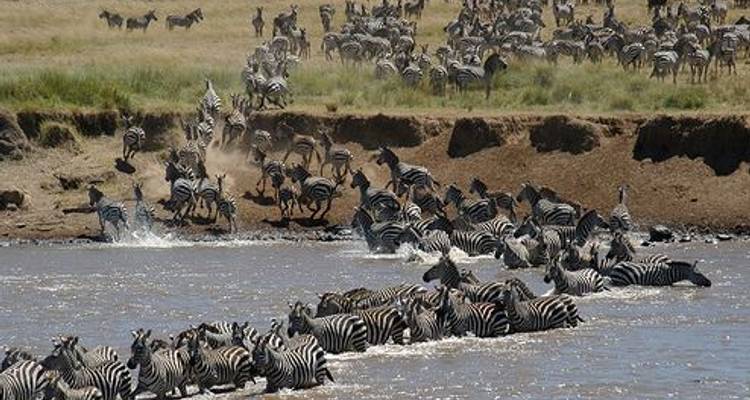Northern Parks- 4 Day Safari Extension Tarangire, Ngronogoro Crater and Lake Manyara - Real Life Adventure Travel