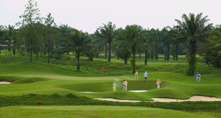 Golfer spielen auf einem üppig grünen Platz mit Palmen