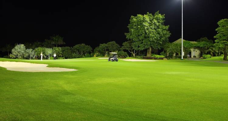 Golfplatz bei Nacht mit einem Golfwagen und Bäumen
