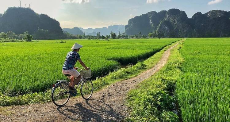 Radfahrer auf einem unbefestigten Weg durch Reisfelder in Ninh Binh.