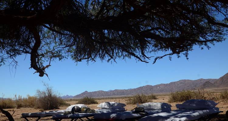 Mt. Kilimanjaro Itinerary: Shira - Real Life Adventure Travel