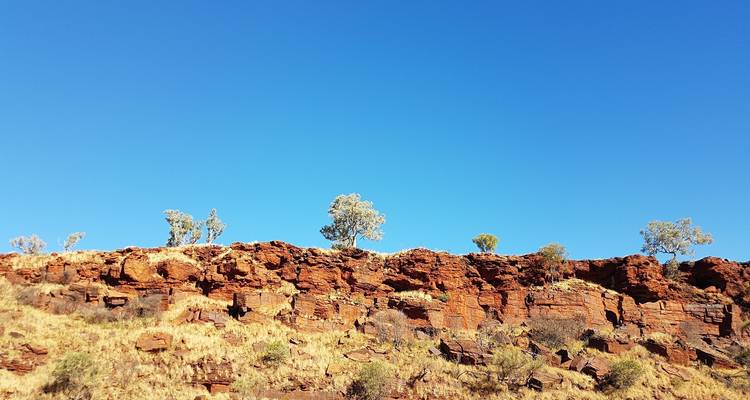 Felsige Klippe mit blauem Himmel darüber und spärlicher Vegetation.