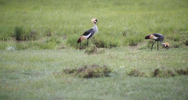 Cultural Safari Itinerary: Ultimate Northern Safari - Real Life Adventure Travel