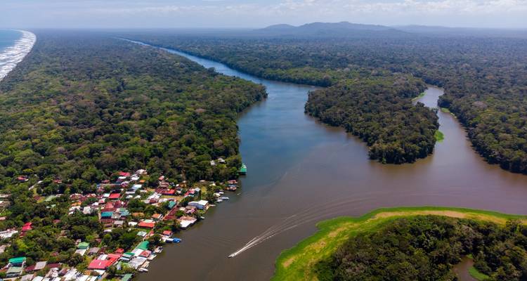 Luftaufnahme von üppigen grünen Wäldern mit gewundenen Flüssen und einer Gemeinde am Wasser.